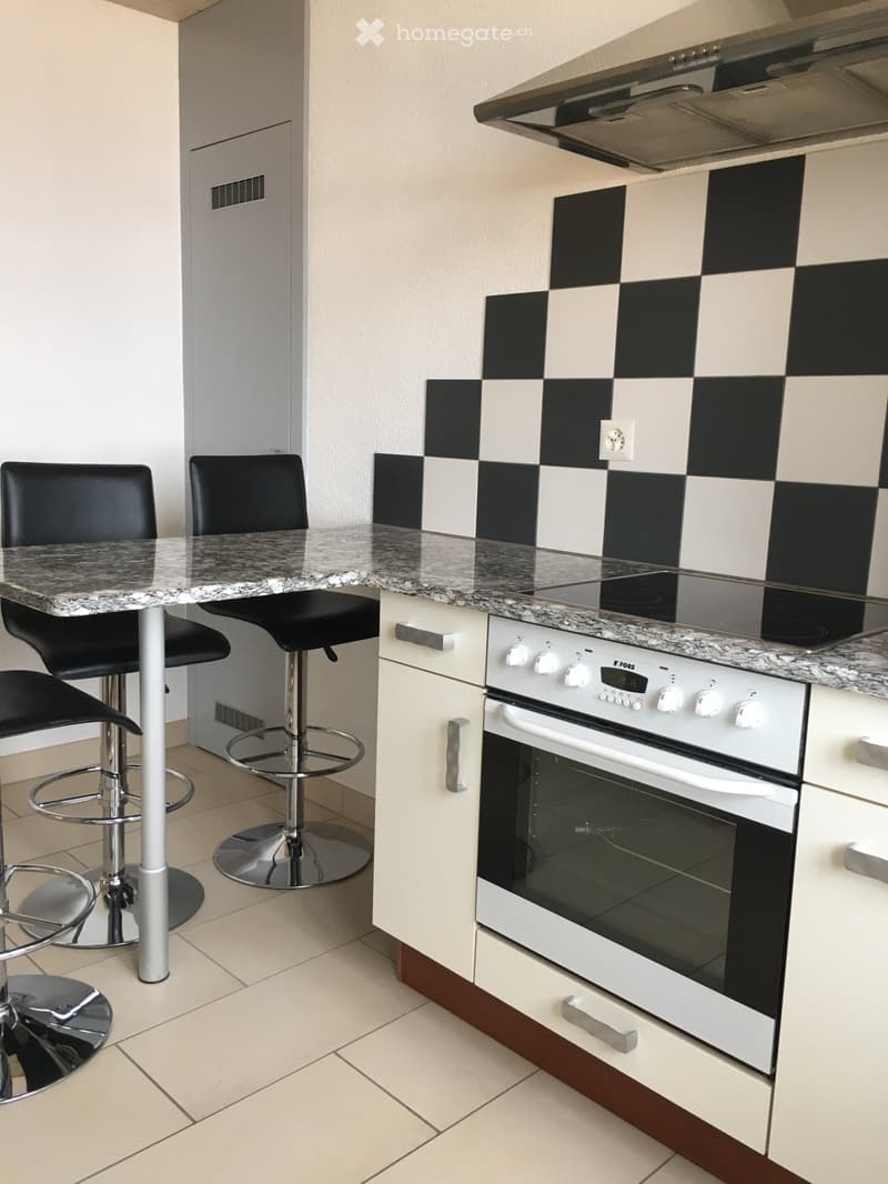 Appartement 4,5 pièces en duplex (3)