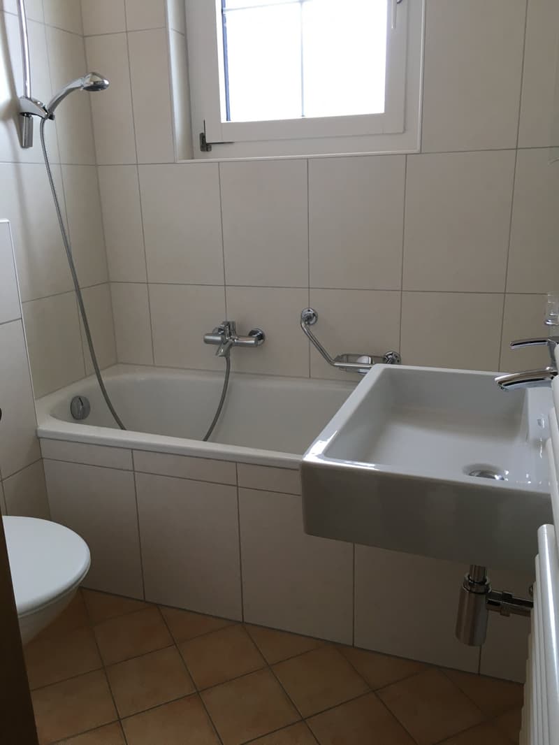 Appartement 4,5 pièces en duplex (2)