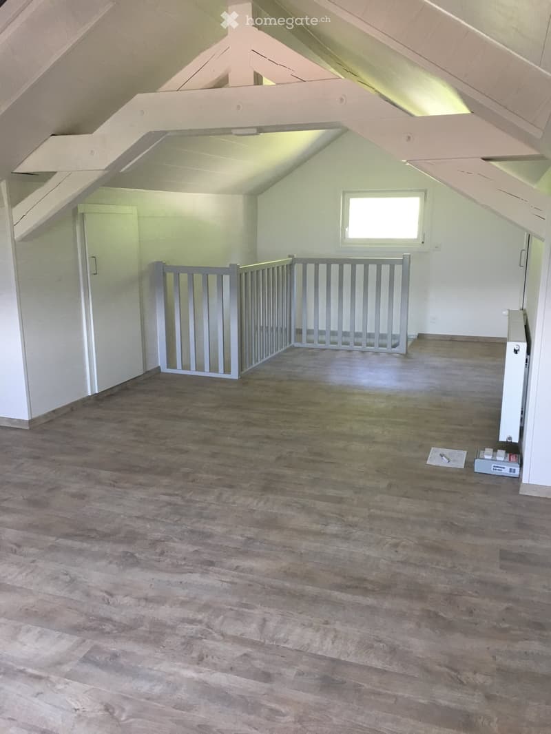 Appartement 4,5 pièces en duplex (1)