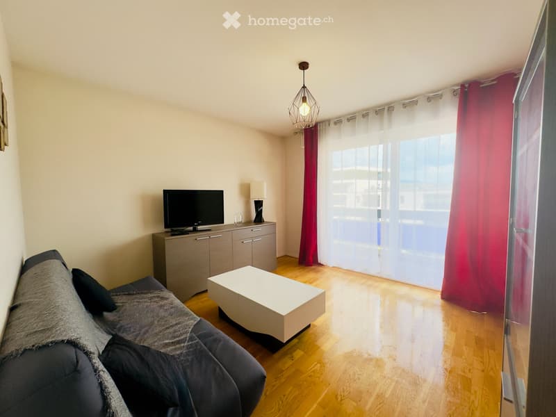 Appartement meublé 33 m²  Moillesulaz (2)