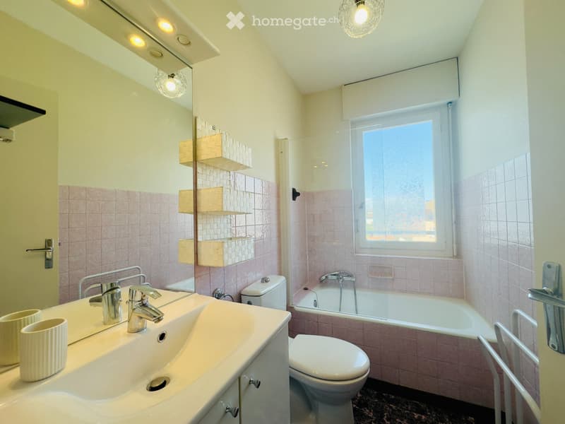 Appartement meublé 33 m²  Moillesulaz (3)