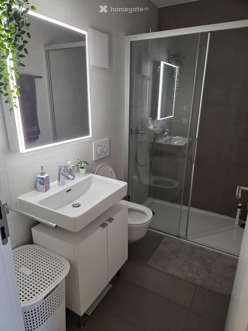 Appartement 3.5 pièces de 88 m² (3)