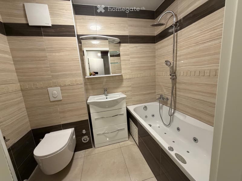 3 pièce en duplex (3)