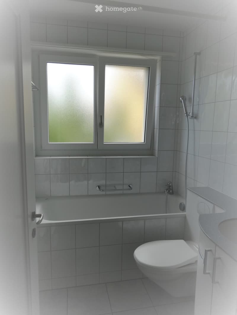 Bevorzugtes Wohnquartier (5)