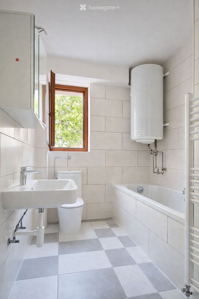 Appartement 6 pièces au rez-de-chaussée (2)