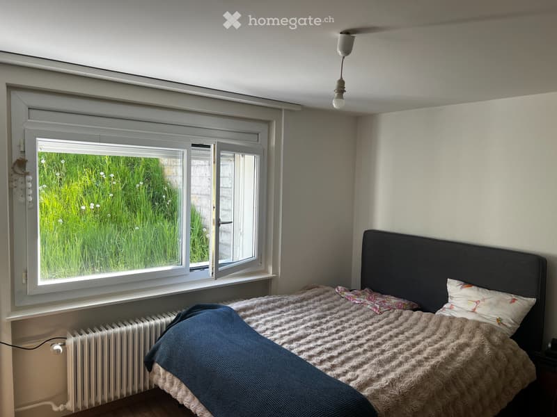 Charmant studio de 1,5 pièces à Fribourg (3)