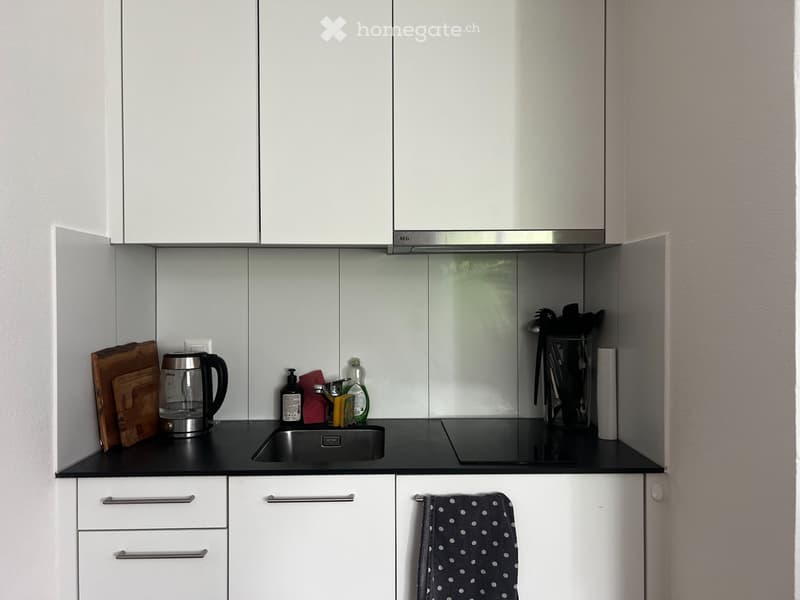 Charmant studio de 1,5 pièces à Fribourg (4)