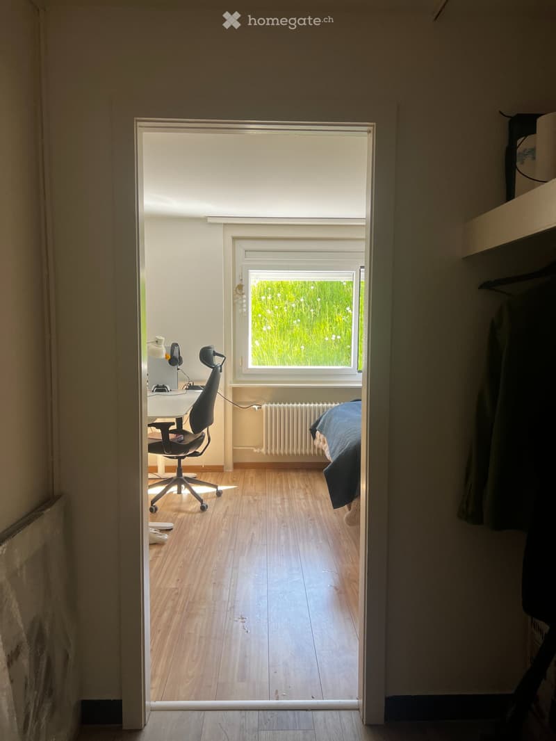 Charmant studio de 1,5 pièces à Fribourg (5)