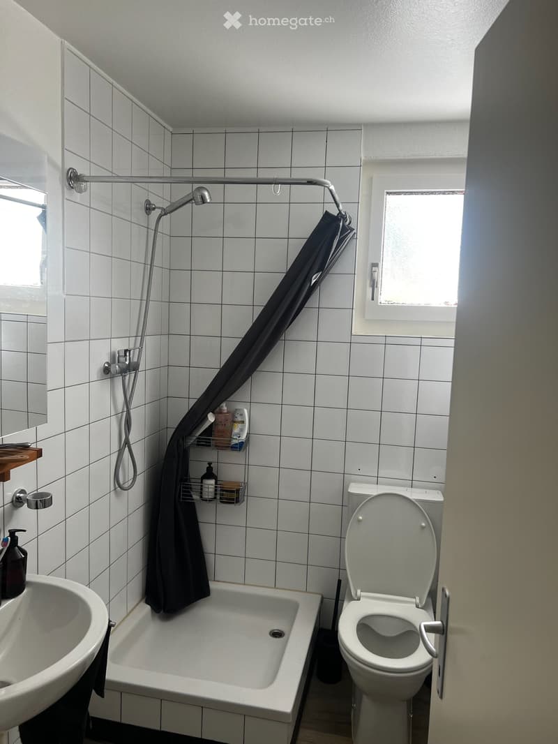 Charmant studio de 1,5 pièces à Fribourg (2)