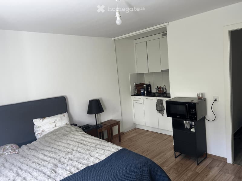 Charmant studio de 1,5 pièces à Fribourg (1)