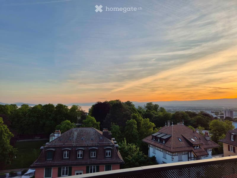 Grand 2.5 pièces lumineux avec vue lac & montagne - Valency (3)
