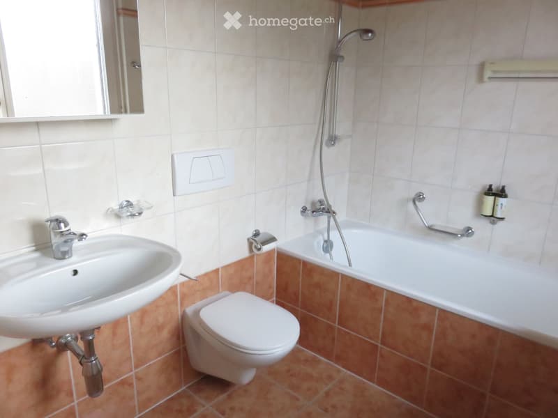 MAGNIFIQUE APPARTEMENT 2 EME ETAGE Y C BOX PRIVE CHEXBRES (4)