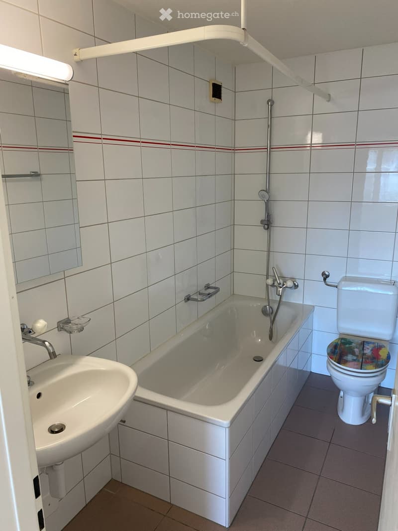 Charmante 4.5-Zimmer-Dachwohnung im Grünen (3)