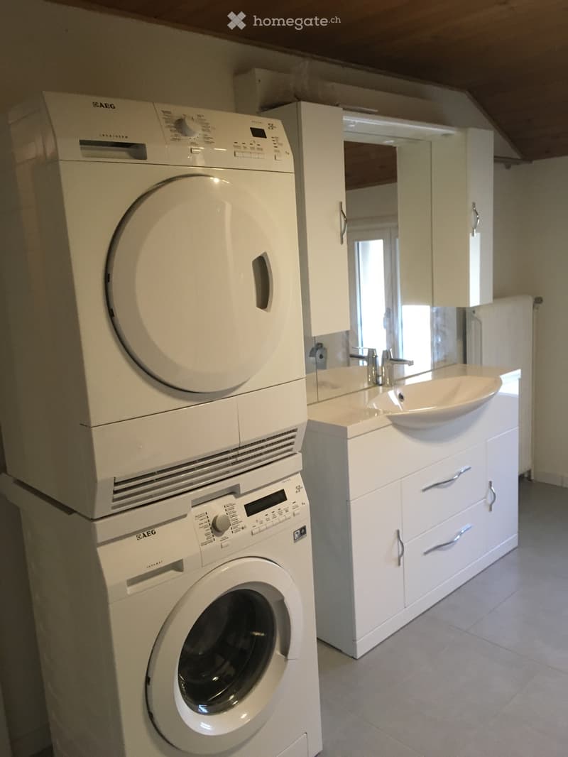 Appartement duplex 3.5 (5)