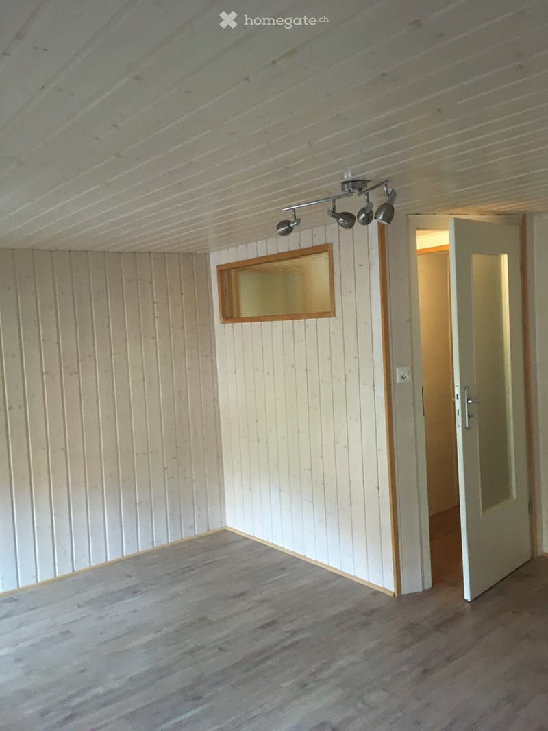 Appartement duplex 3.5 (3)