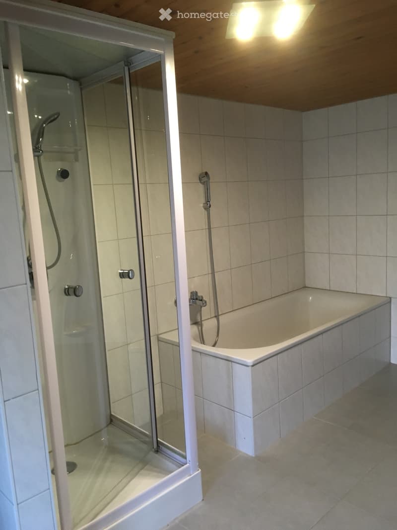 Appartement duplex 3.5 (4)