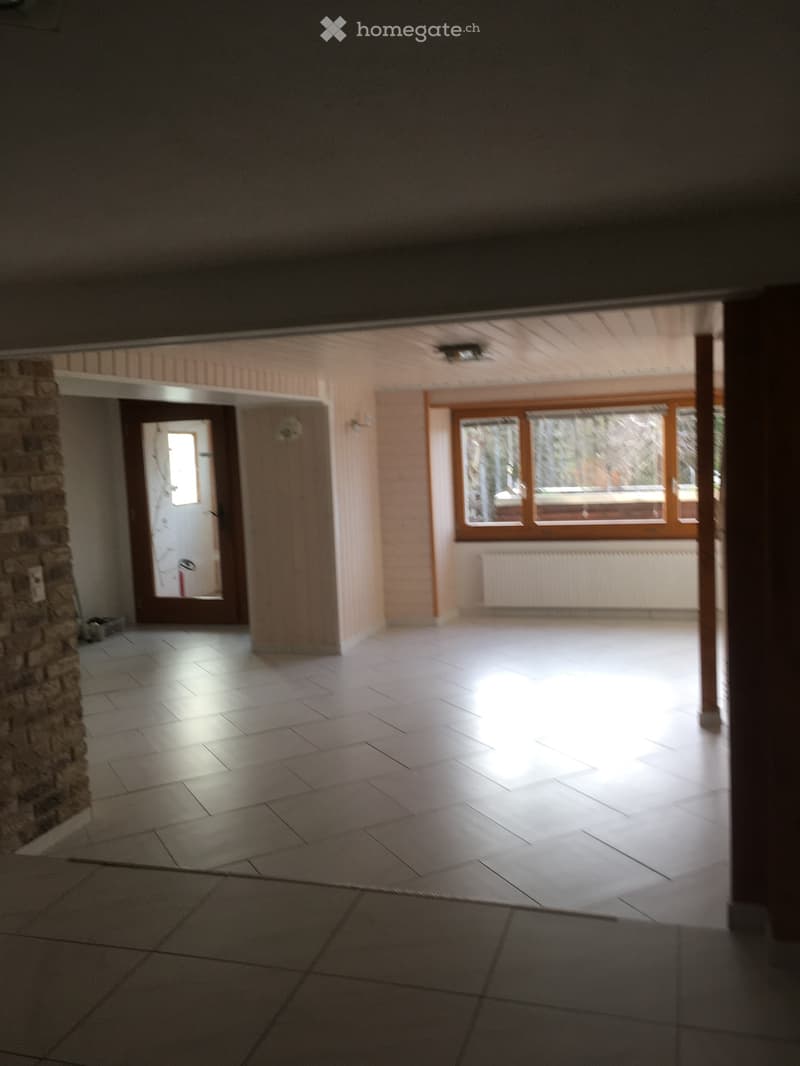 Appartement duplex 3.5 (2)