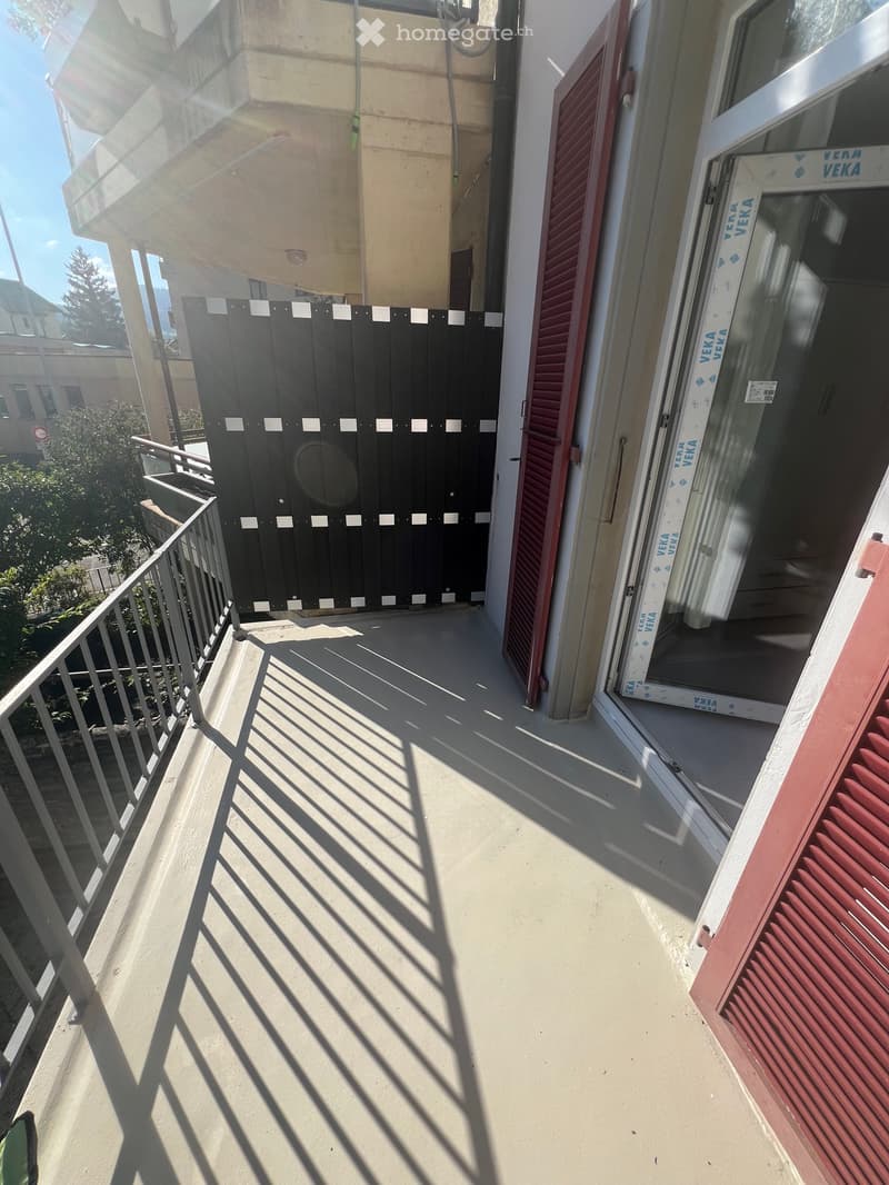Petit appartement de 3,5 Pièces Entièrement Rénové (2)