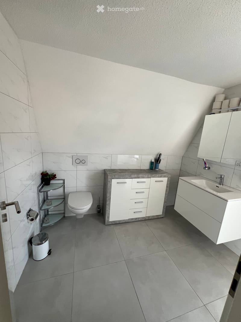 Petit appartement de 3,5 Pièces Entièrement Rénové (5)