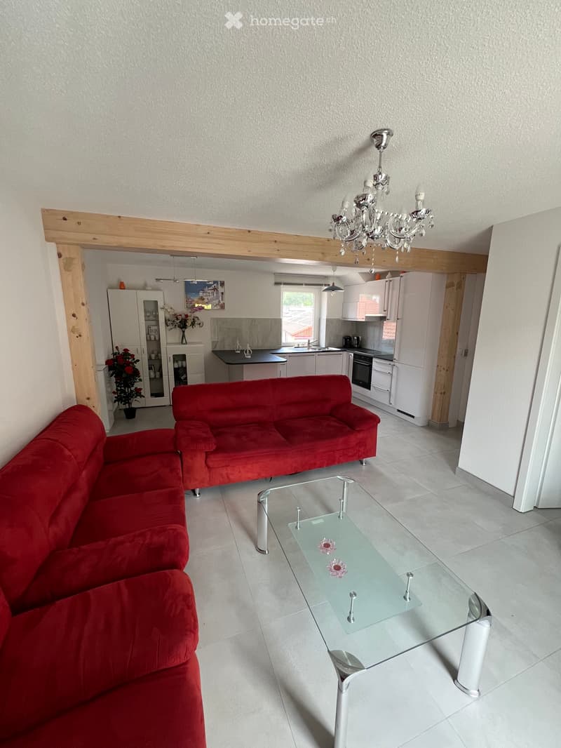 Petit appartement de 3,5 Pièces Entièrement Rénové (1)