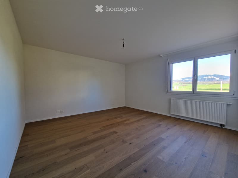 Lumineux appartement 3.5 pcs, rénové à neuf, avec jardin (4)