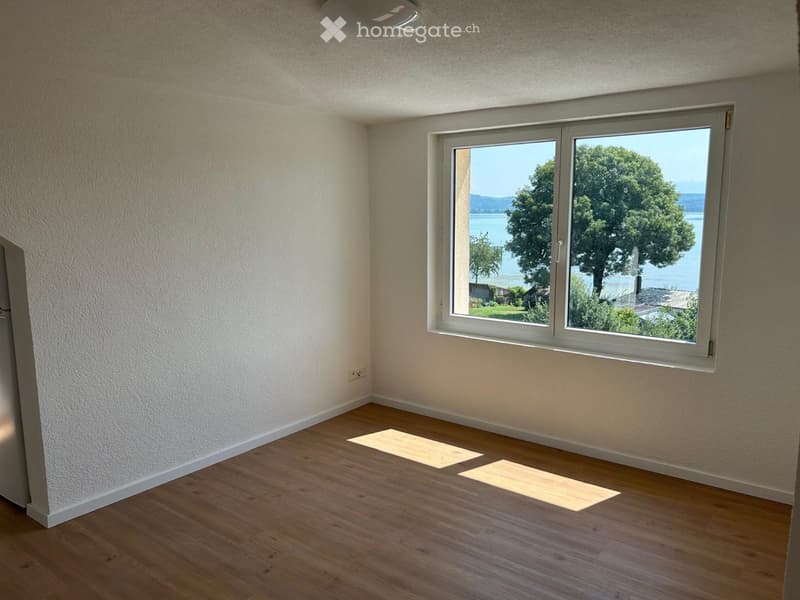 Appartement 2 pièces et vue imprenable sur le lac de Morat (3)