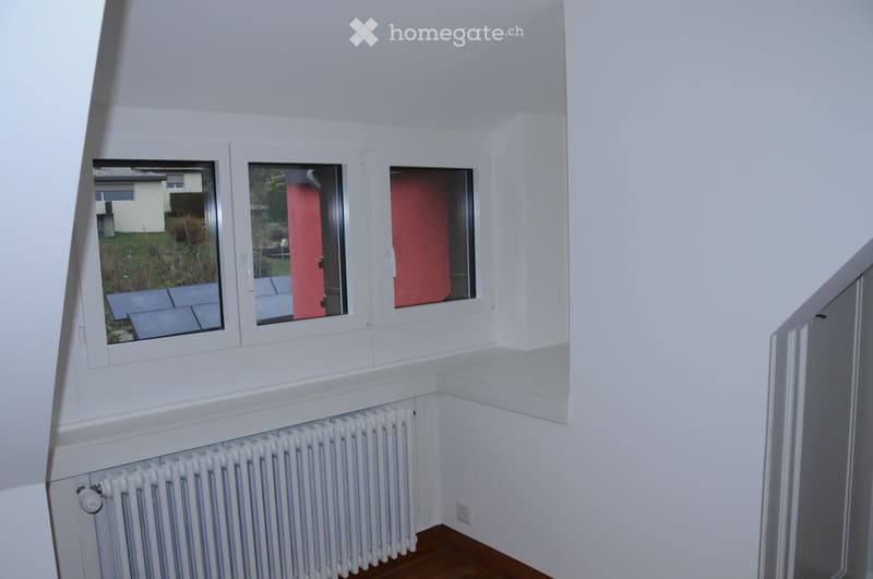 Joli appartement mansardé avec vue, pour le 1er juillet (7)