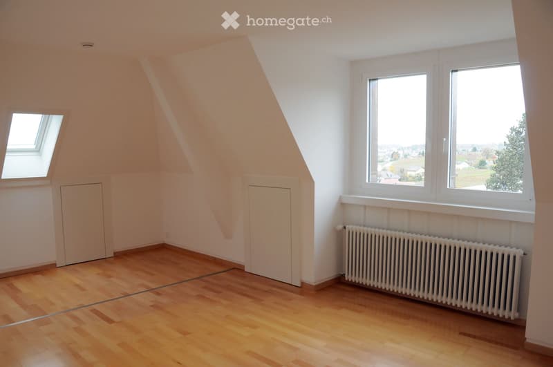 Joli appartement mansardé avec vue, pour le 1er juillet (3)