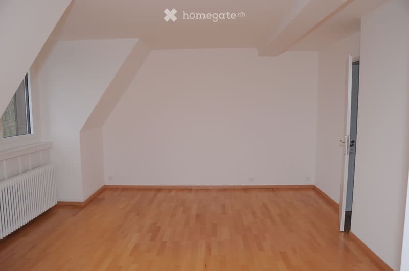 Joli appartement mansardé avec vue, pour le 1er juillet (4)