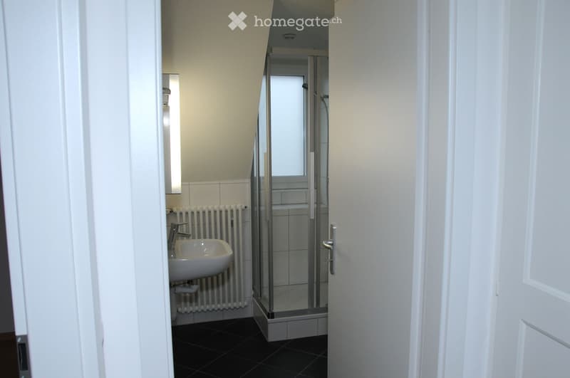 Joli appartement mansardé avec vue, pour le 1er juillet (5)