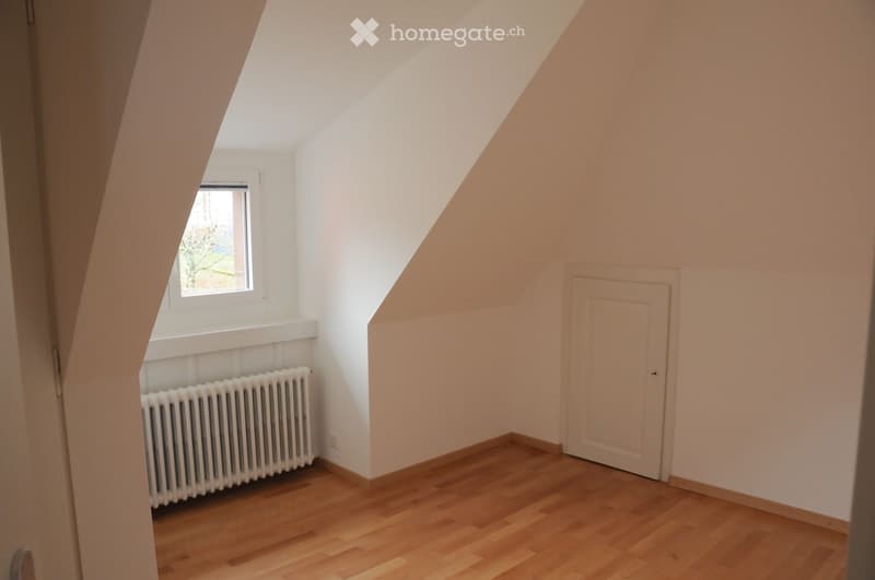 Joli appartement mansardé avec vue, pour le 1er juillet (8)
