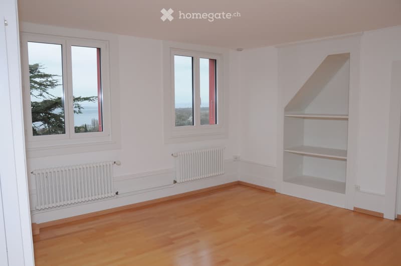 Joli appartement mansardé avec vue, pour le 1er juillet (2)