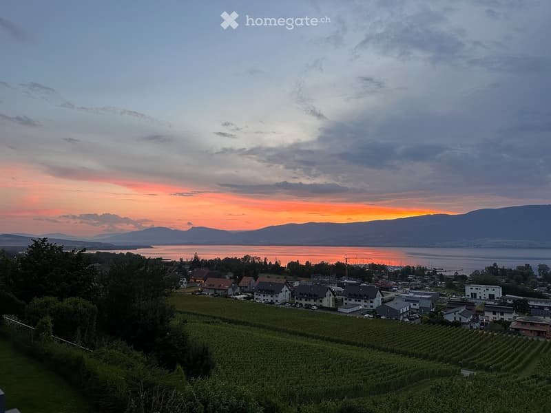 Villa 6.5p rénovée à Cheyres, avec vue sur le lac (1)