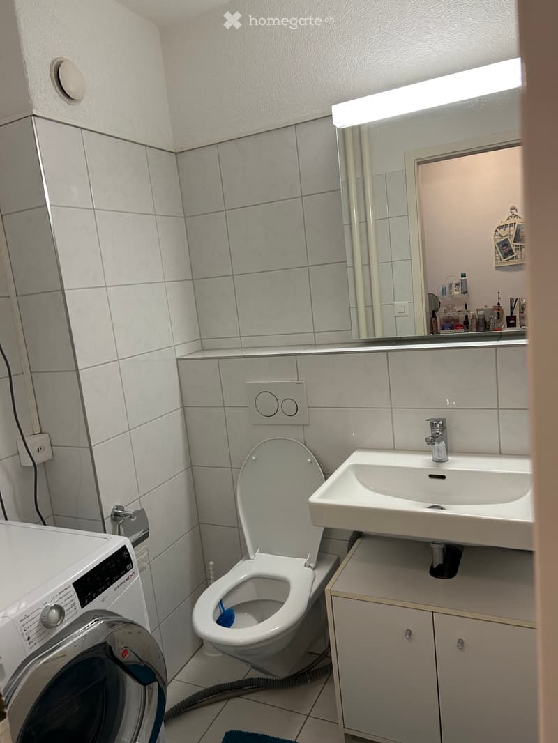 4,5 Zimmerwohnung Nachmieter gesucht per Juli 2026 (2)