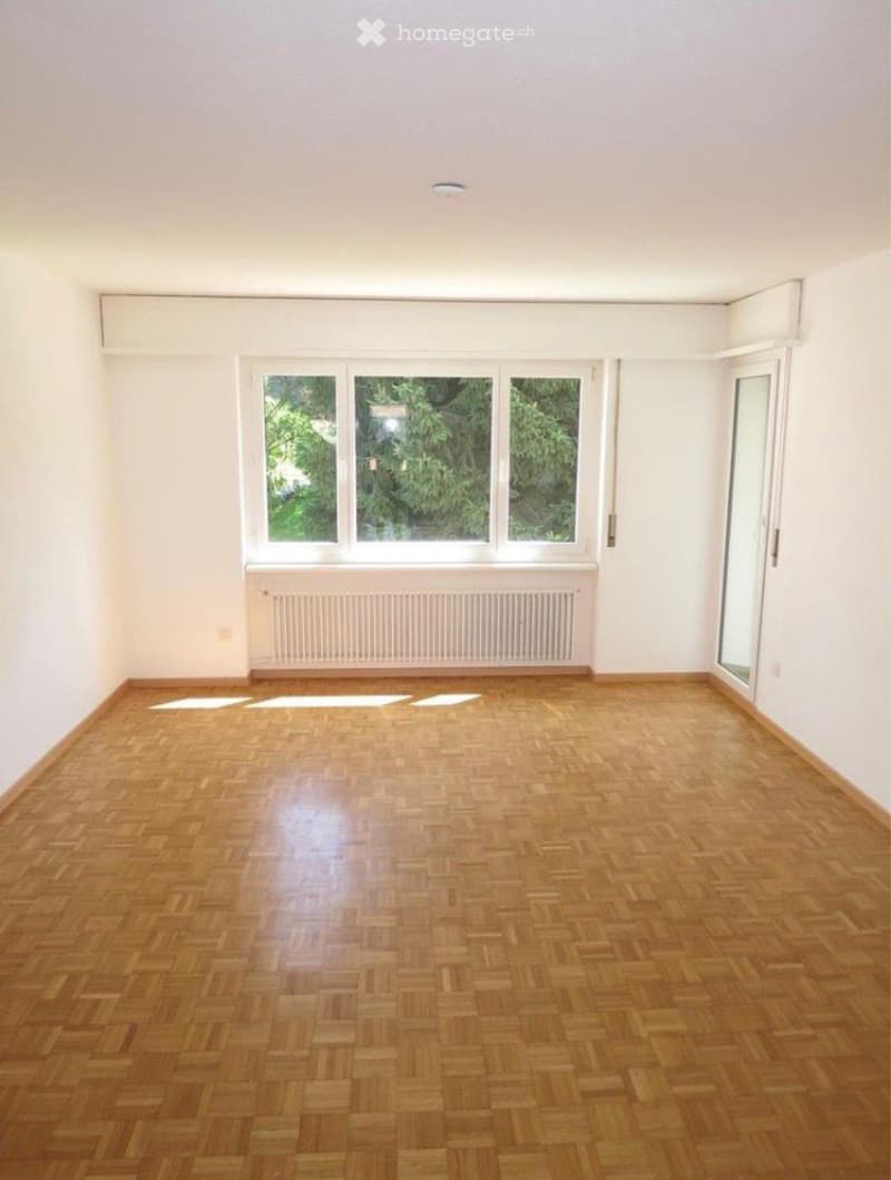 4,5 Zimmerwohnung Nachmieter gesucht per Juli 2026 (3)
