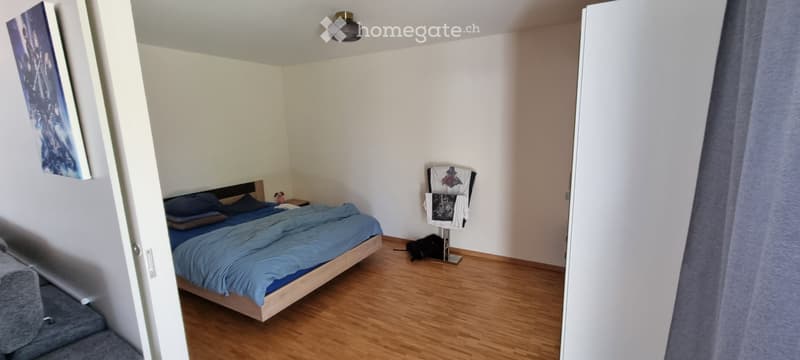 Grand appartement proche de l'EHL et du Biopôle (2)