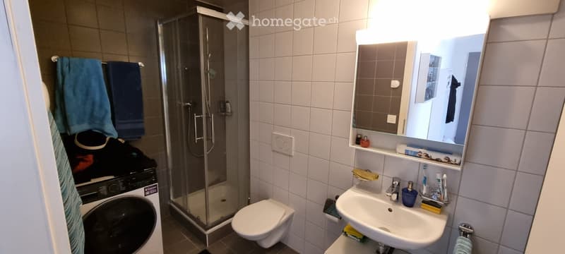 Grand appartement proche de l'EHL et du Biopôle (4)