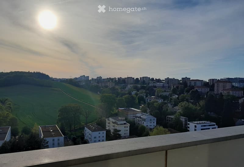 Magnifique 4.5 pièces au dernier étage avec grande terrasse (1)