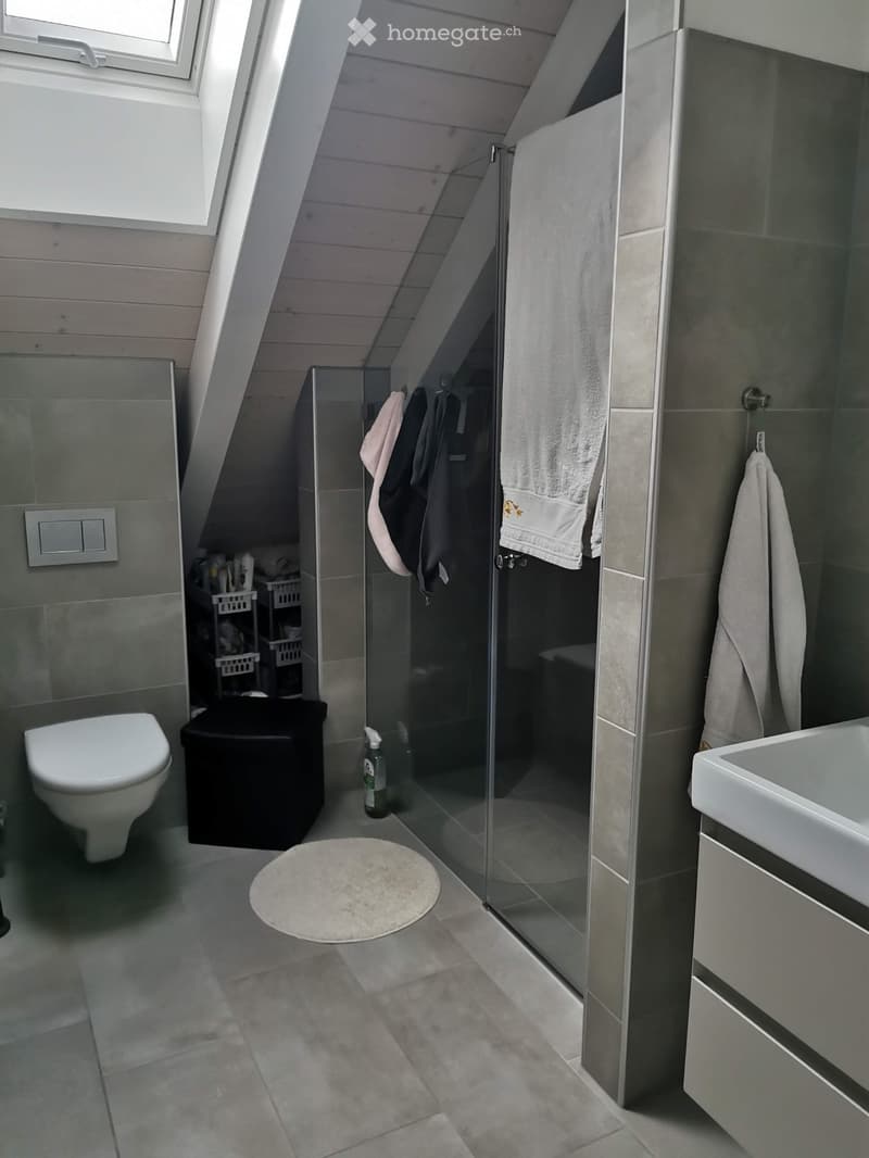5 ½ Zimmer Duplex Wohnung 176m2 Eigentumsstandard (4)