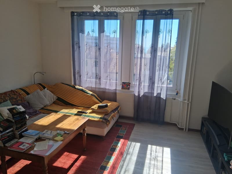 Appartement lumineux de 3 pièces au centre de Sainte-Croix (1)
