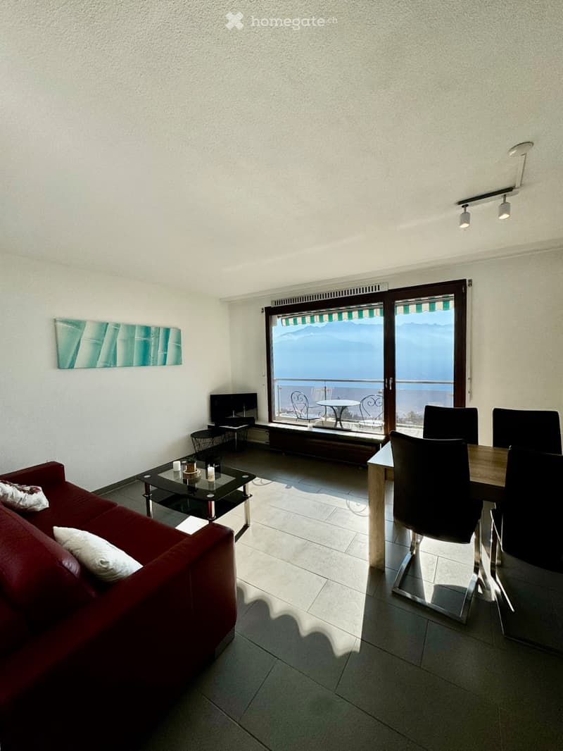Belle appartement à la location (5)