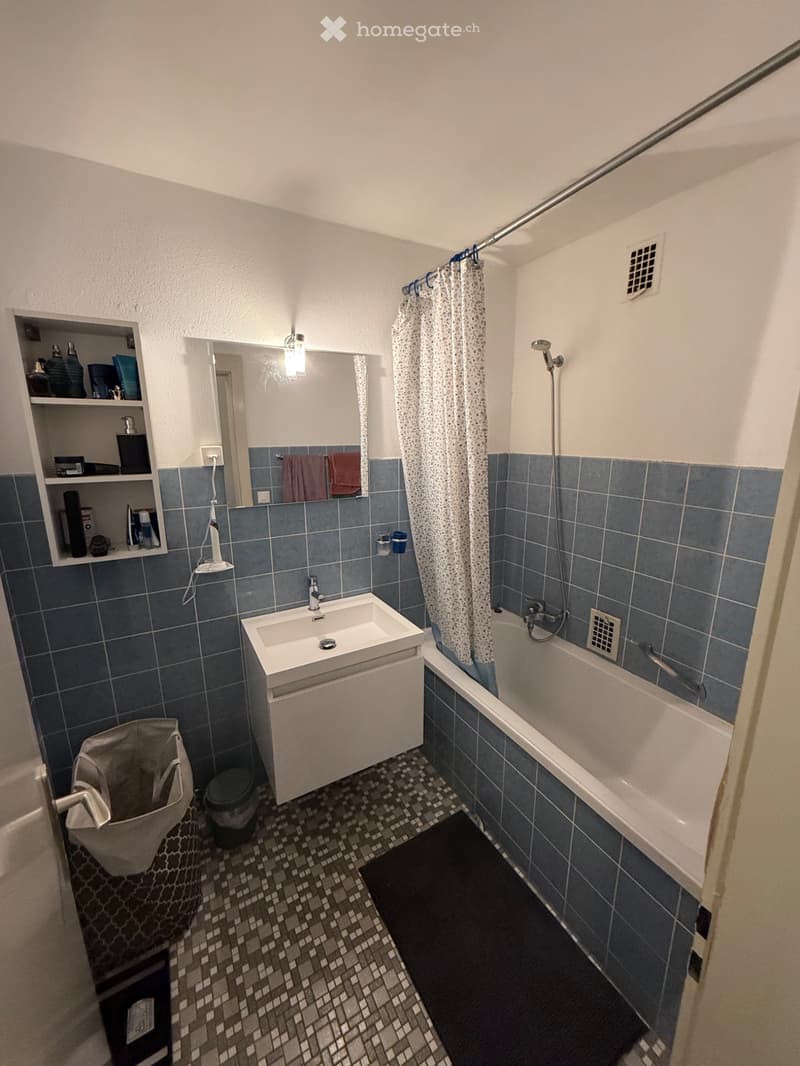 Appartement trois chambres (3)