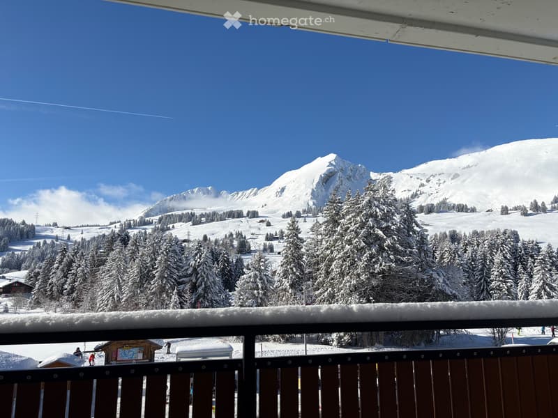 Appartement trois chambres (5)