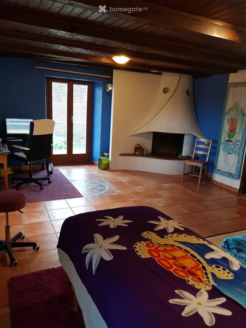 Appartement Duplex + combles (3)