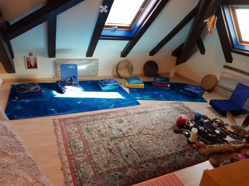 Appartement Duplex + combles (4)