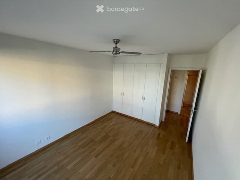 Carouge A VENDRE magnifique appartement 4p + box une place (4)