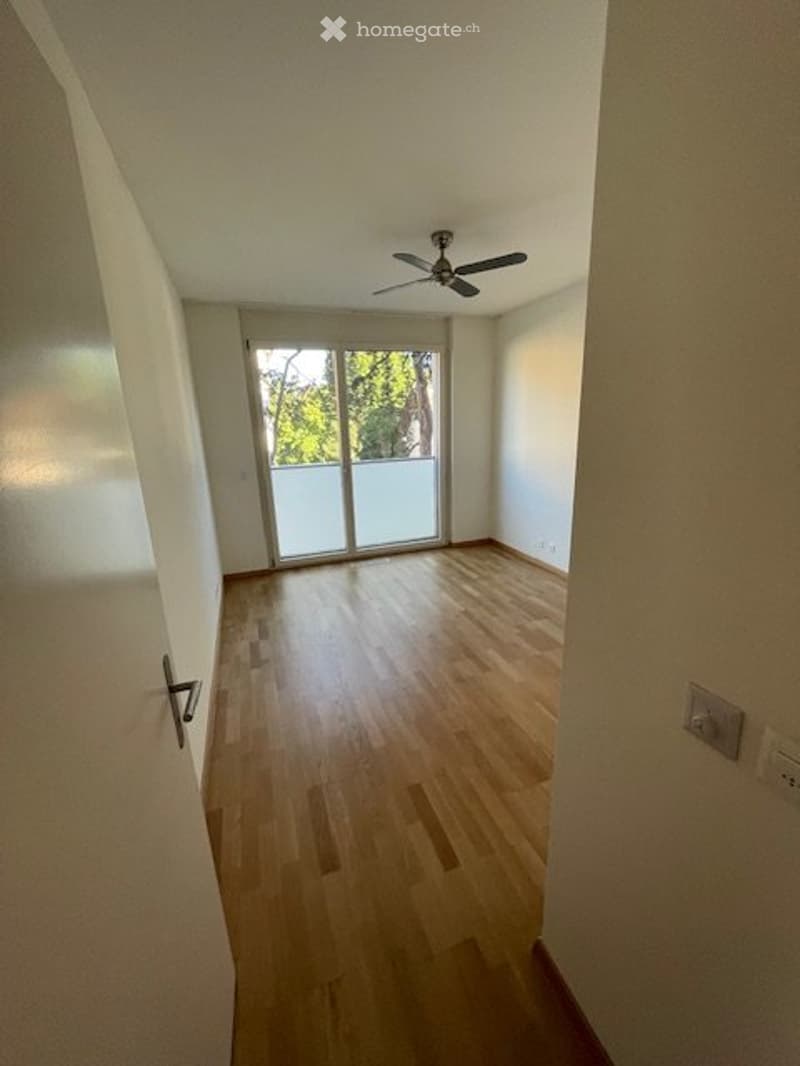 Carouge A VENDRE magnifique appartement 4p + box une place (3)