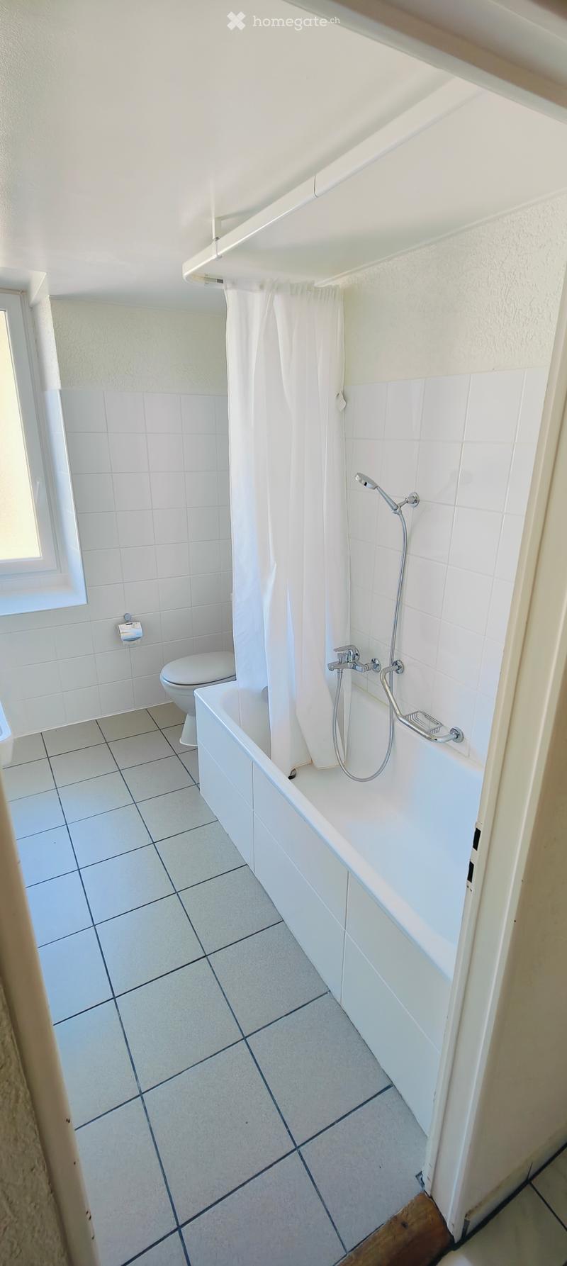 Magnifique appartement de 4.5pces (4)