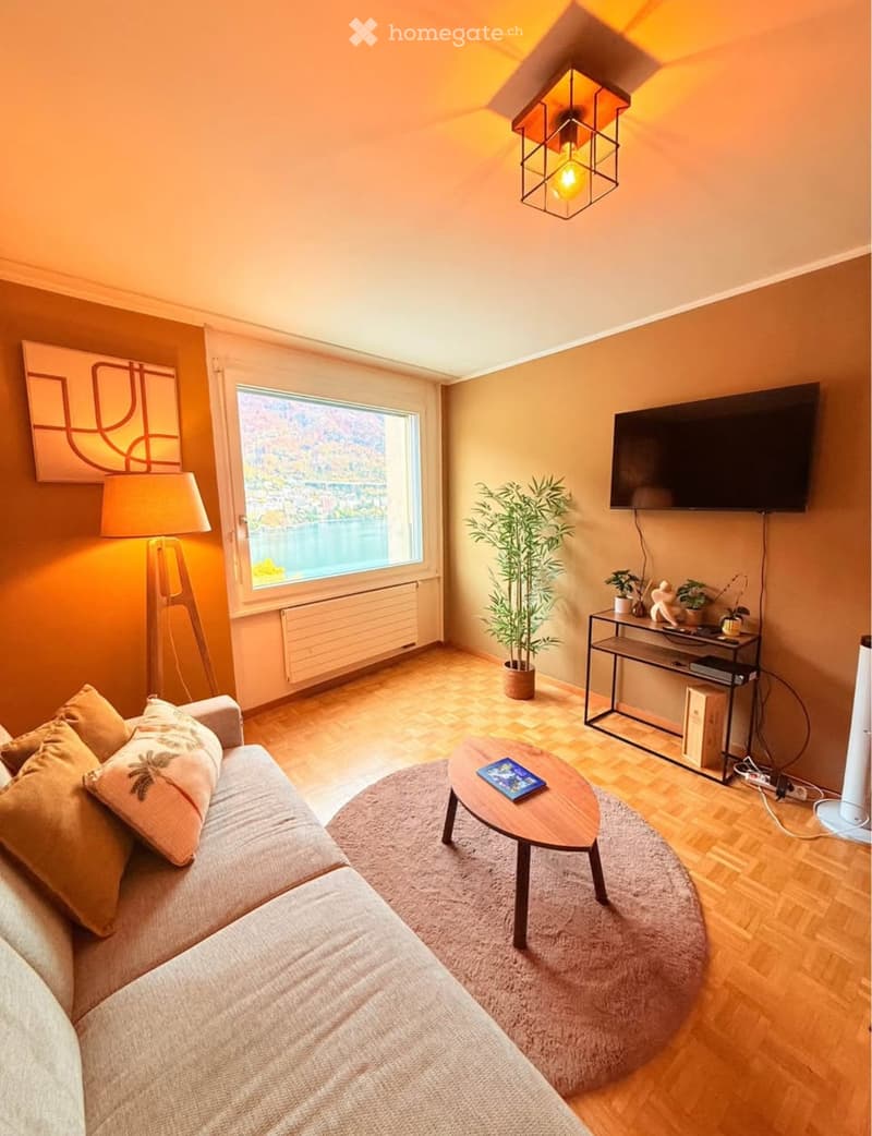 Central Apartment Close to the Lake (4)