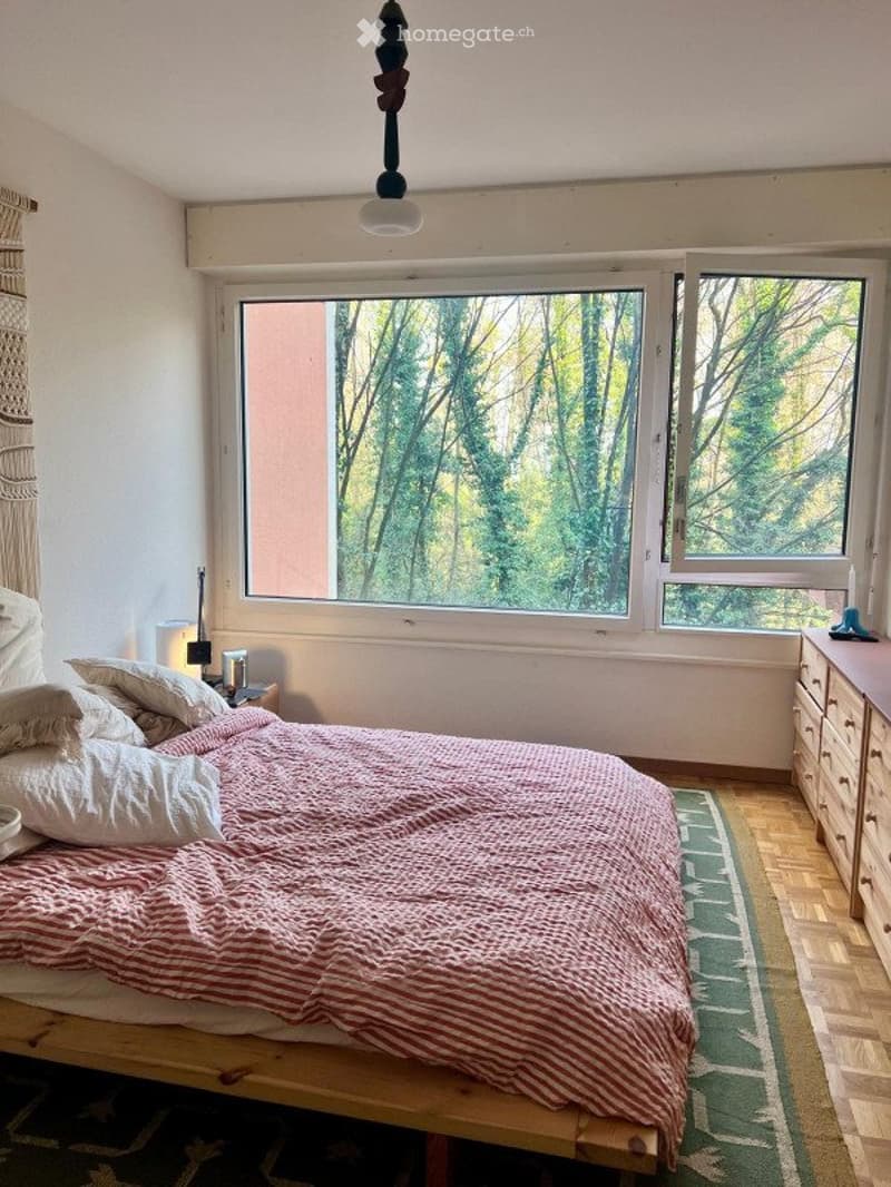 Spacieux appartement traversant de 105 m² à Frontenex (3)